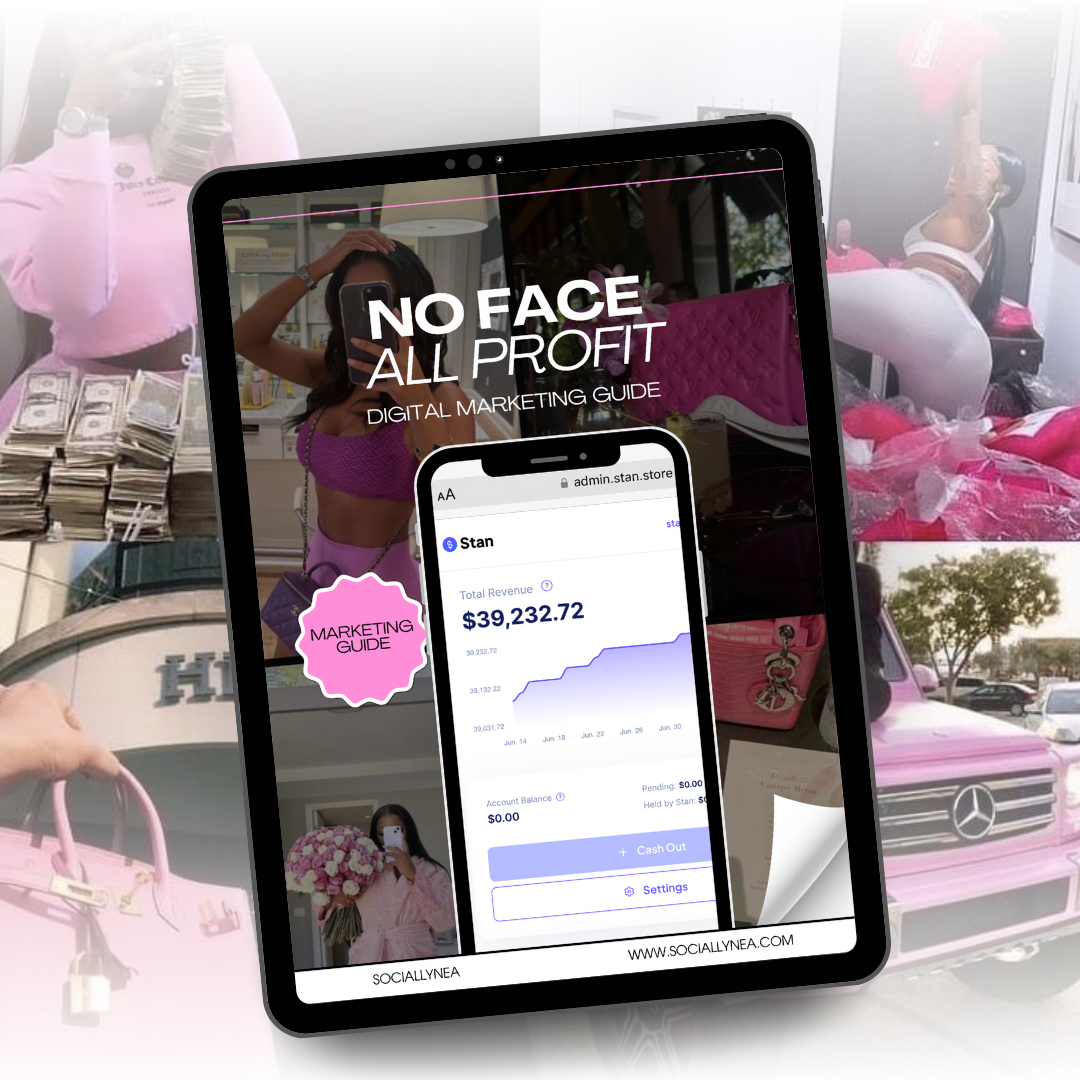 No Face All Profits Digital Marketing Guide with Resell Rights