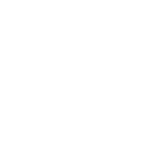 SOCIALLYNEA